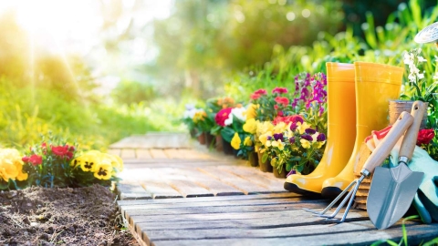 A Comprehensive Guide and Practical Ideas to Landscaping for Homeowners: Landscape Design, Landscaping Ideas, DIY Landscaping, Hiring a Contractor and Much More